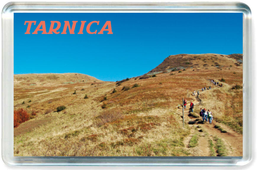 Magnes Bieszczady 0415