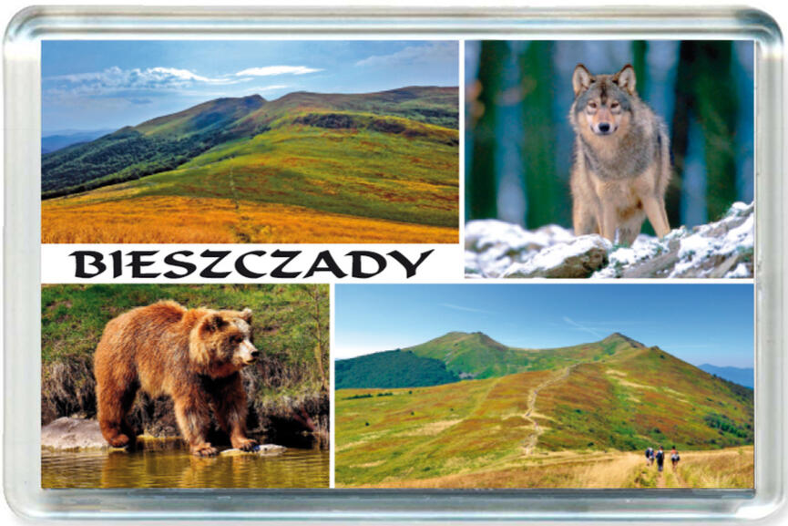 Magnes Bieszczady 0893