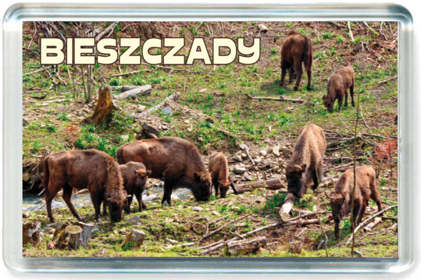 Magnes Bieszczady 0109