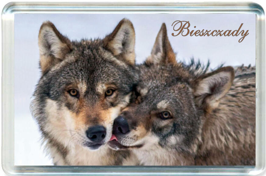 Magnes Bieszczady 1121