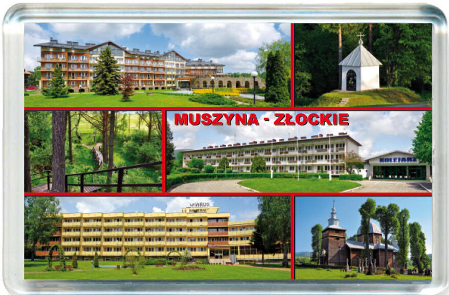 Magnes Złockie 0818