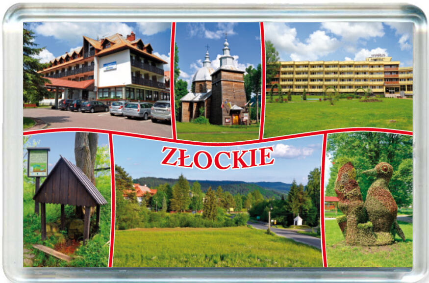 Magnes Złockie 0817