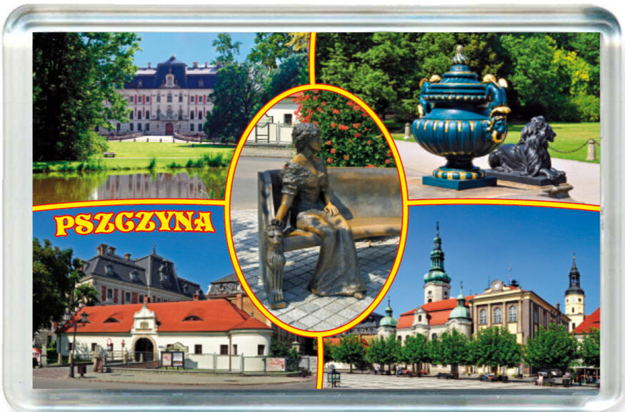 Magnes Pszczyna 0807