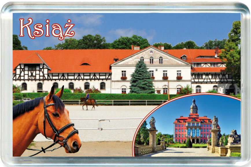 Magnes Wałbrzych 1297