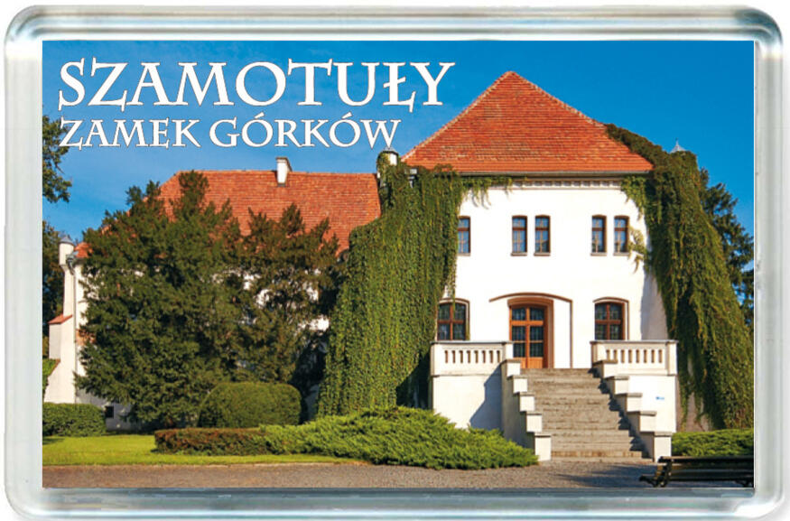 Magnes Zamek w Szamotułach 0003