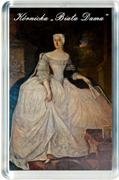 Magnes Zamek w Kórniku 0461