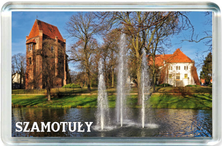 Magnes Zamek w Szamotułach 0001