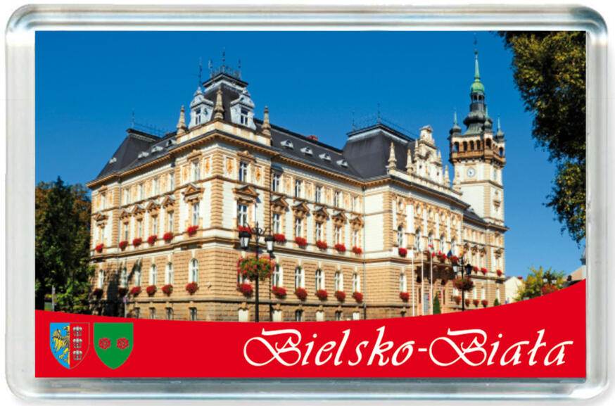 Magnes Bielsko-Biała 0124