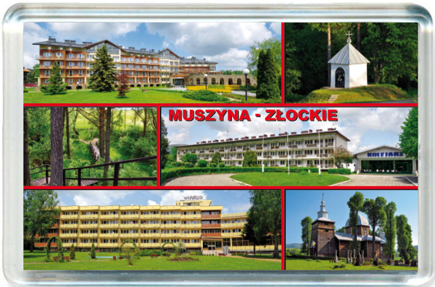 Magnes Muszyna 0818