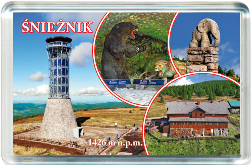 Magnes Śnieżnik 1243