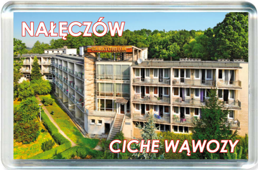 Magnes Nałęczów 1107