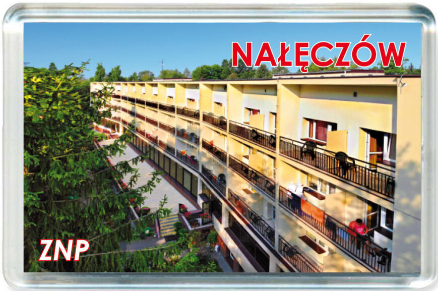 Magnes Nałęczów 1106